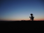 "Abendstern" Venus über der Sternenrast in Großmugl