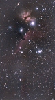 IC434 (Pferdekopf) aus Großmugl